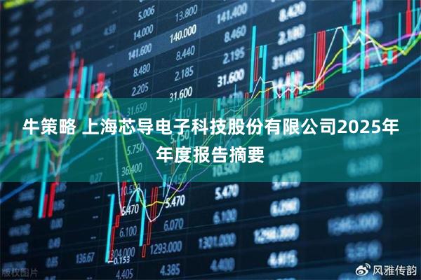 牛策略 上海芯导电子科技股份有限公司2025年年度报告摘要