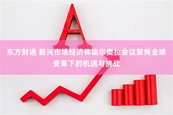 东方财通 新兴市场经济体埃尔奥拉会议聚焦全球变革下的机遇与挑战