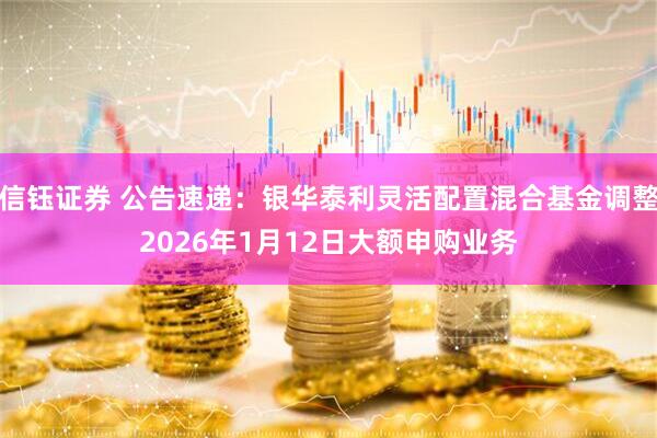 信钰证券 公告速递：银华泰利灵活配置混合基金调整2026年1月12日大额申购业务