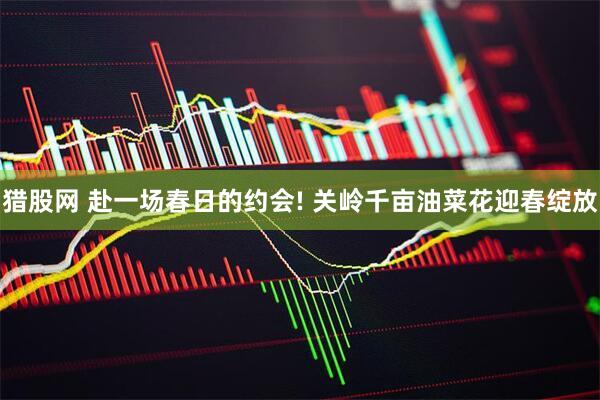 猎股网 赴一场春日的约会! 关岭千亩油菜花迎春绽放